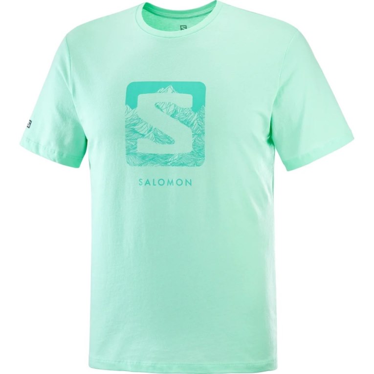 Camiseta Salomon Outlife Logo Curta Sleeve Masculino Menta | PT K46385